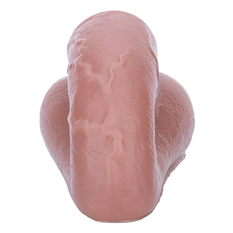 Wholesale Realistic Silicone Penis FTM Packer Dildo Sleeve With Big Scrotum Soft Packer Ftm Prosthetic Penis for Lesbian