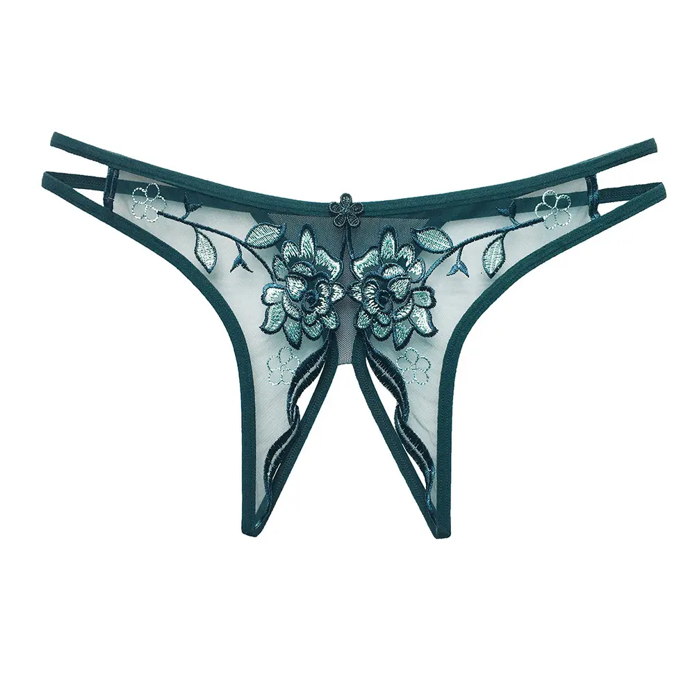 Women's Low-Rise Transparent Thong Floral Embroidered Sexy   Bow Tassel Sequin Decoration Everyday Hollow Style One Fits All