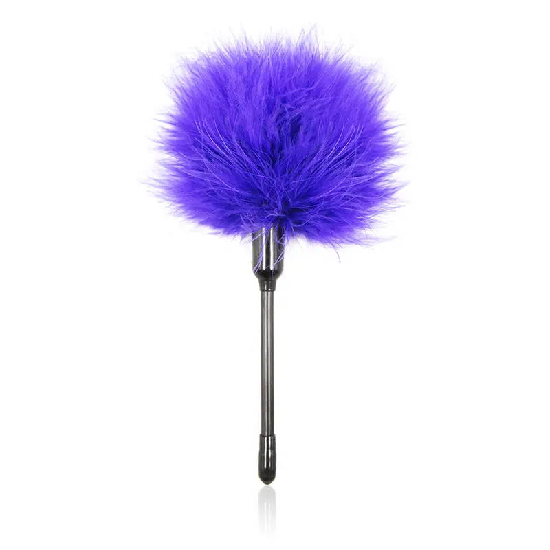 SM Sex Toy Wholesale Tease Multi-color Flirting Feather Pole Adult Supplies Other Adult Toys