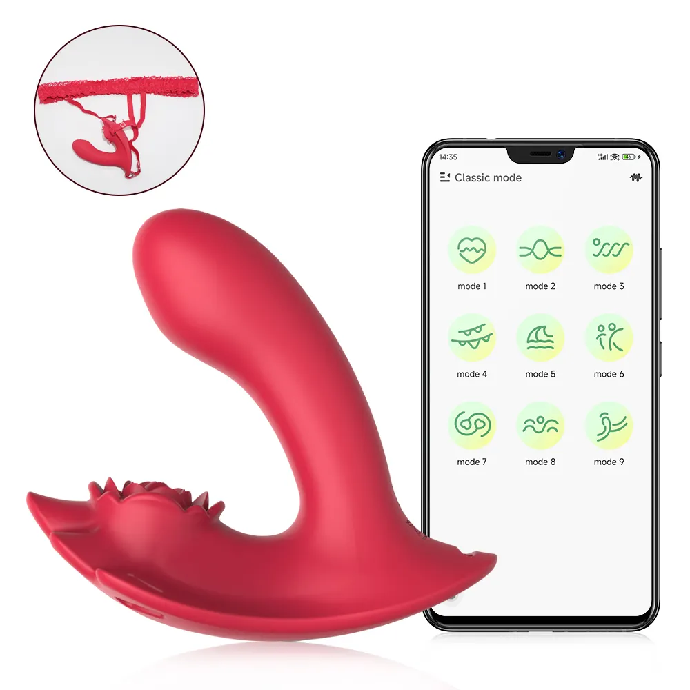 Private Women's USB Powered Vibrating Underwear with App Remote Control Panty Vibrator for Sex Game Pleasure