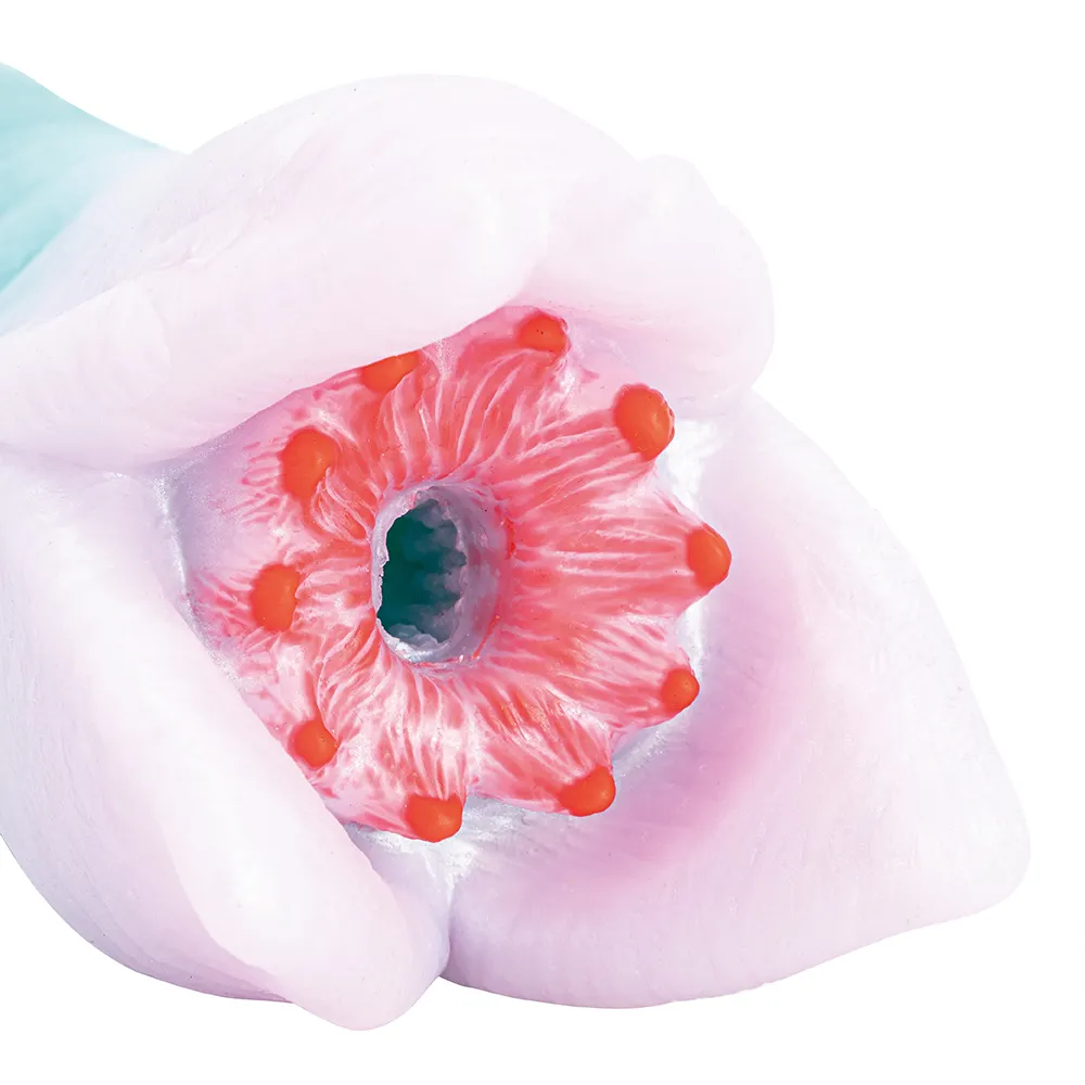 Silicone Monster Masturbator Large Realistic Alien Animal Flower Vagina Toy Channel Sex Toy with Excellent Comfort Convenience